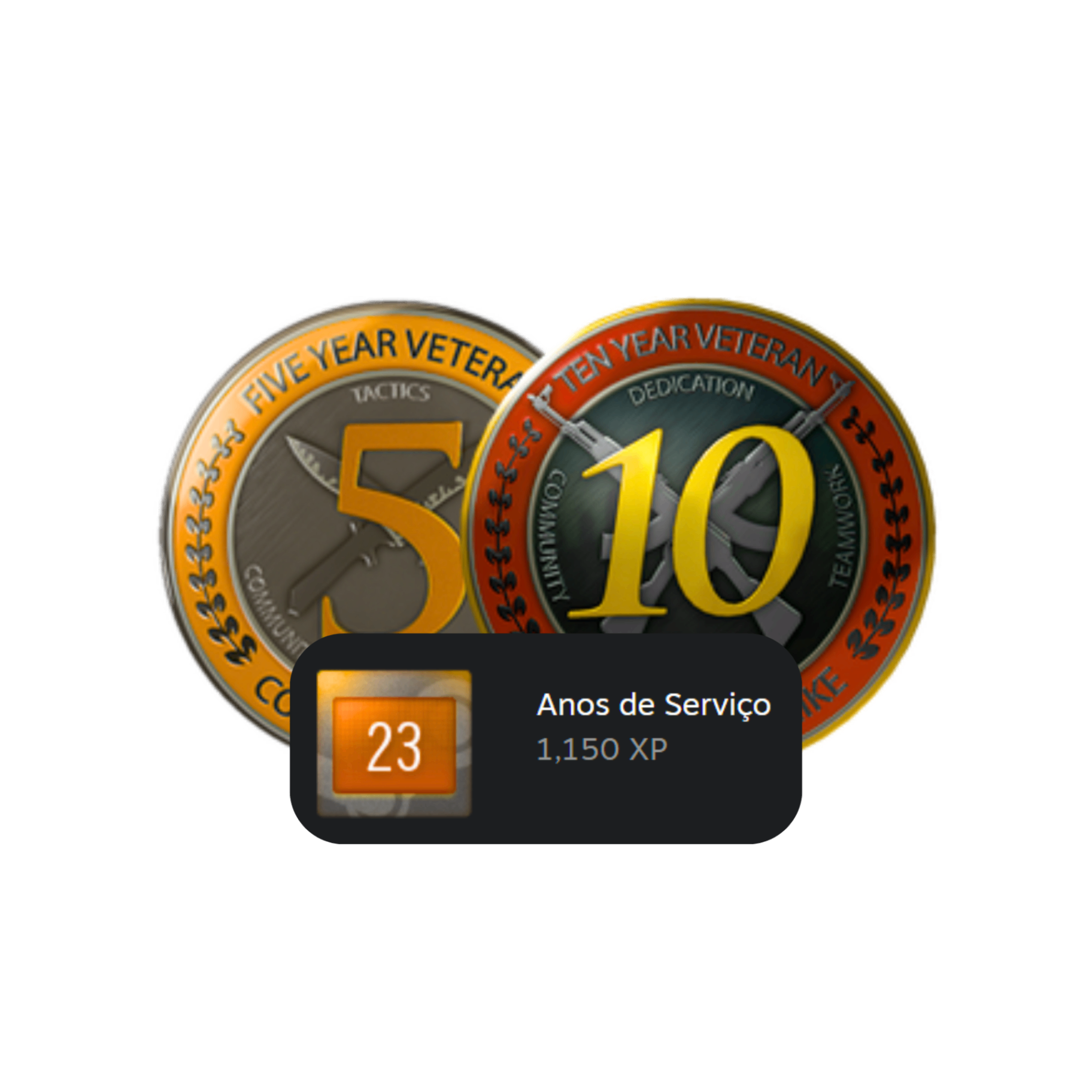 Conta com Moeda de 10 e 5 anos no CS2 | Setembro de 2003 + Primeiro E-mail